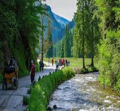 بنسبه اكبر من المتوقع ارتفاع مبيعات التجزئة في بولندا بمقدار 4.8 %